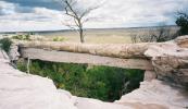 A bridge made from a petrified log