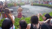 Pig roasting pit at the Luau