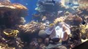 Aquarium at Zoo