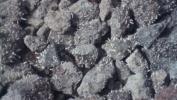 Rocks along the road with crystals growing on them