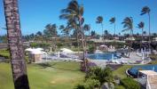 Big Island hotel landscape