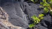 The imprint of a log covered with lava