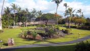 Hotel grounds on Big Island