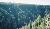 Many more trees than other Canyons