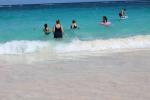swimming in Bermuda