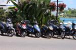 scooters at King's Wharf