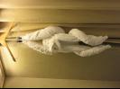 Towel sculpture