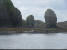 Bird Island