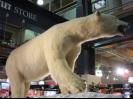 Stuffed Polar Bear