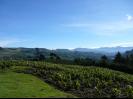 Crops on the mountain top