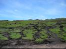 Erosion