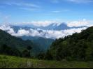 The Hills are Alive with beauty