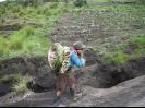 Carrying wood to cook with