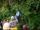 Planting trees