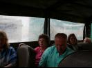 Bus ride through the coffee plantation