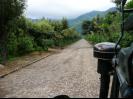 The Coffee Plantation