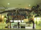 Natural History Museum