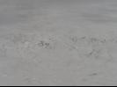 Boiling mud