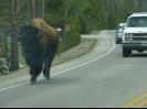 A little traffic problem