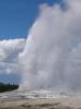 Old Faithful