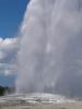 Old Faithful