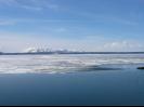 Frozen lake Yellowstone in late May