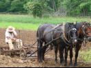 Plowing the fields