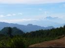 A million dollar view