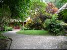 Jungle house