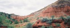 Beautiful Red Rocks in the Canyon