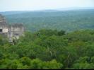 Across the jungle from the top of a monument