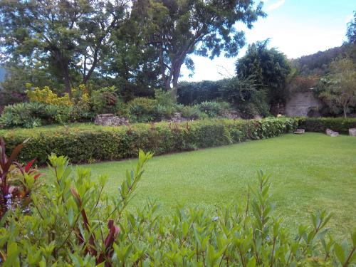 Gardens at the convent