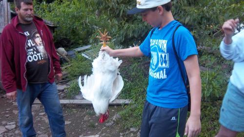 Nicholas with the rooster