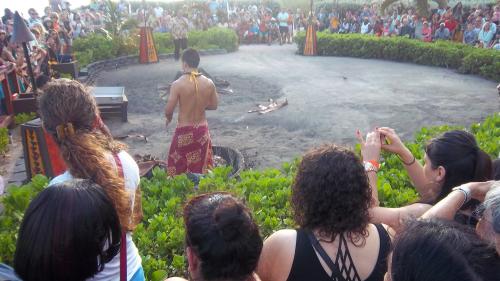 Pig roasting pit at the Luau