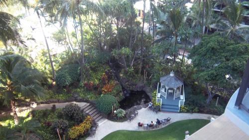View from window in O'ahu