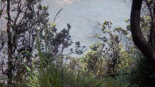 Lava field from Kilauea
