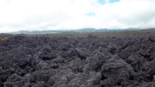 Lava field along the road