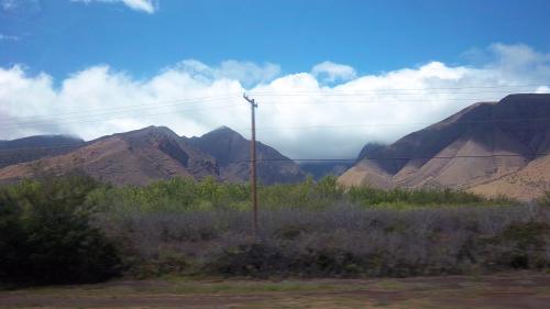 Landscape on Maui