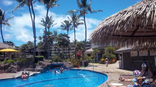 Pool at Maui