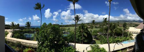 Panorama in Maui 