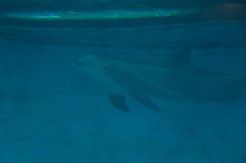 aquarium