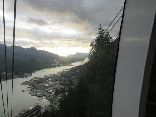 View from Mt. Roger's tram