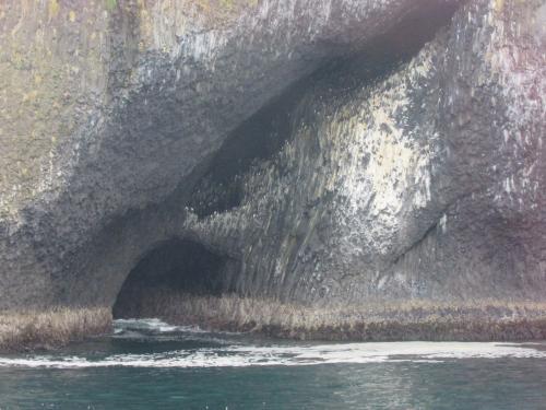 Bird Island