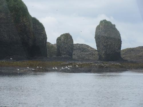 Bird Island