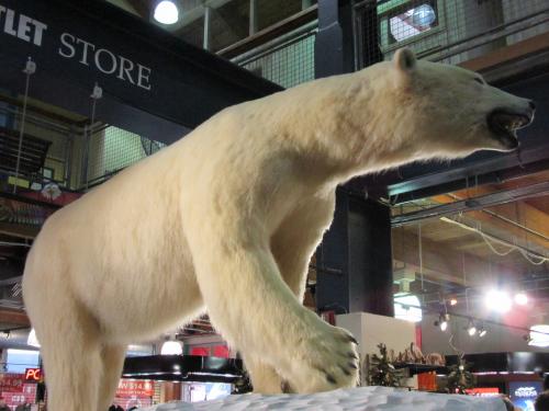 Stuffed Polar Bear