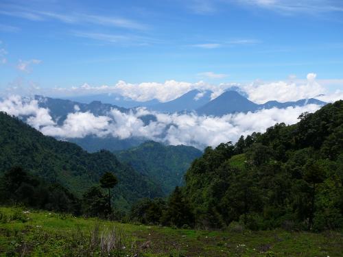 The Hills are Alive with beauty