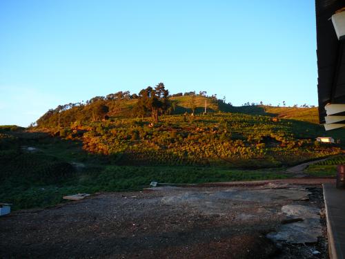 Sunrise on the hill