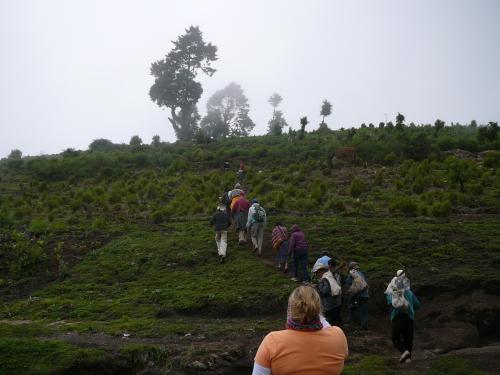 Going off to plant trees