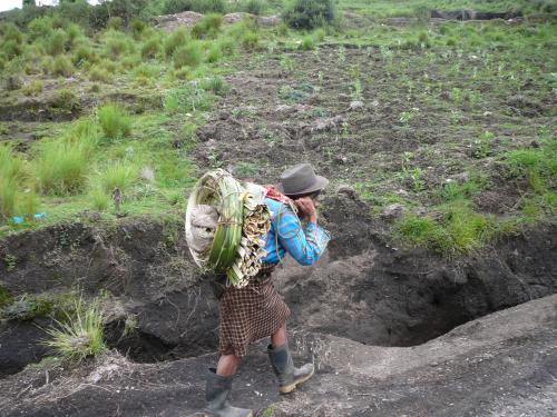 Carrying wood to cook with