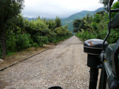 The Coffee Plantation